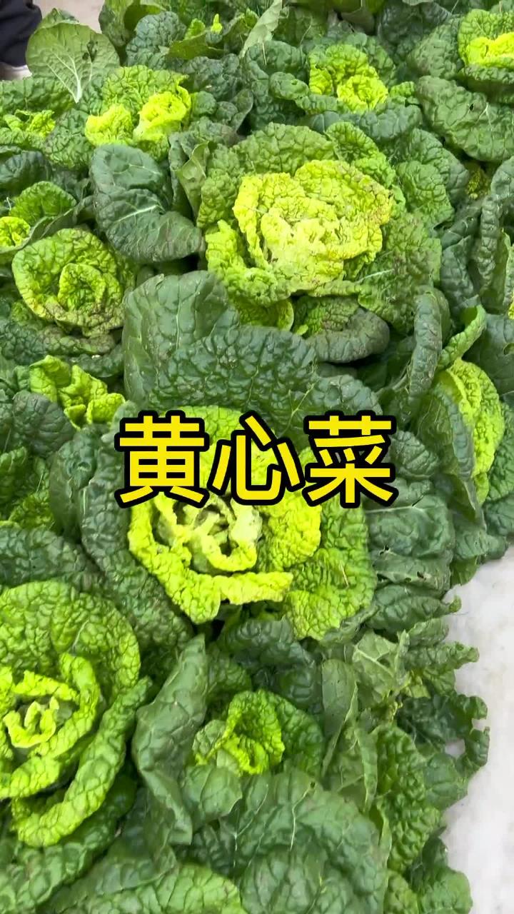 农村集市大概是烟火气最为旺盛的地方