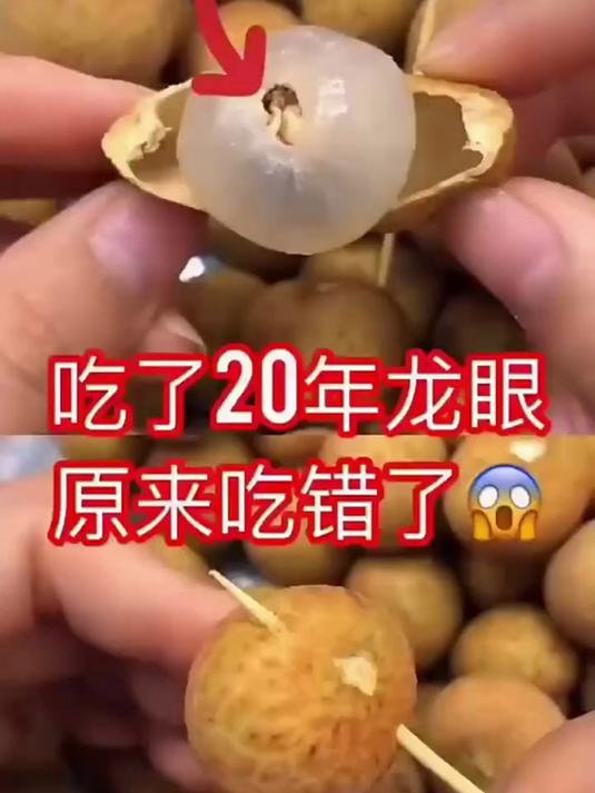 「9.9元买一送一」吃虾就用这个神器 虾胃虾线虾脑 一同挑出