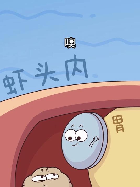 这钙石是小龙虾的“壳生加速器”