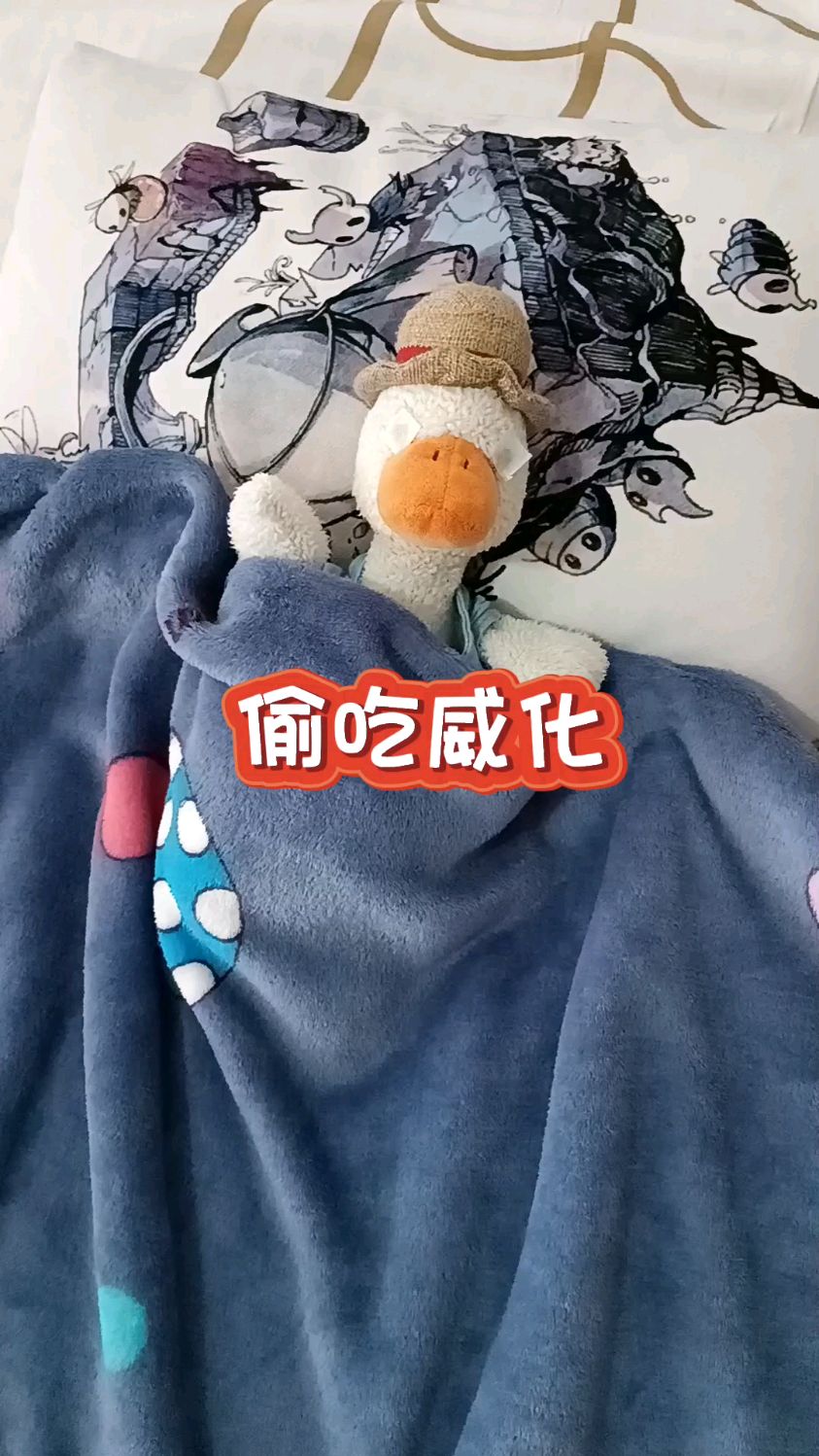 呆鸭日常丨偷吃威化～