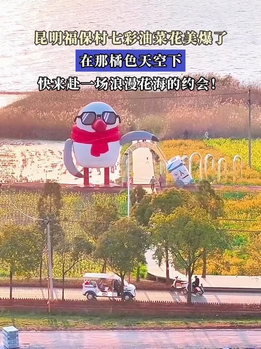 昆明福保村七彩油菜花美爆了,在橘色天空下赴一场浪漫花海的约会