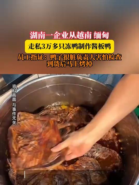 湖南一企业从越南 缅甸走私3万多只冻鸭制作酱板鸭