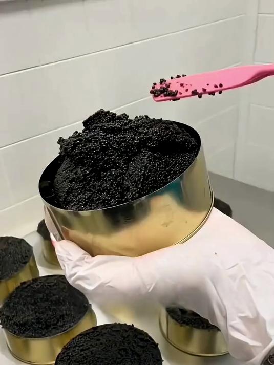 煤球状的黑鱼子酱