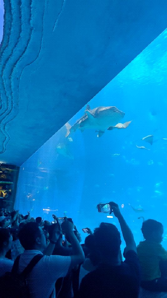 珠海海洋王国
