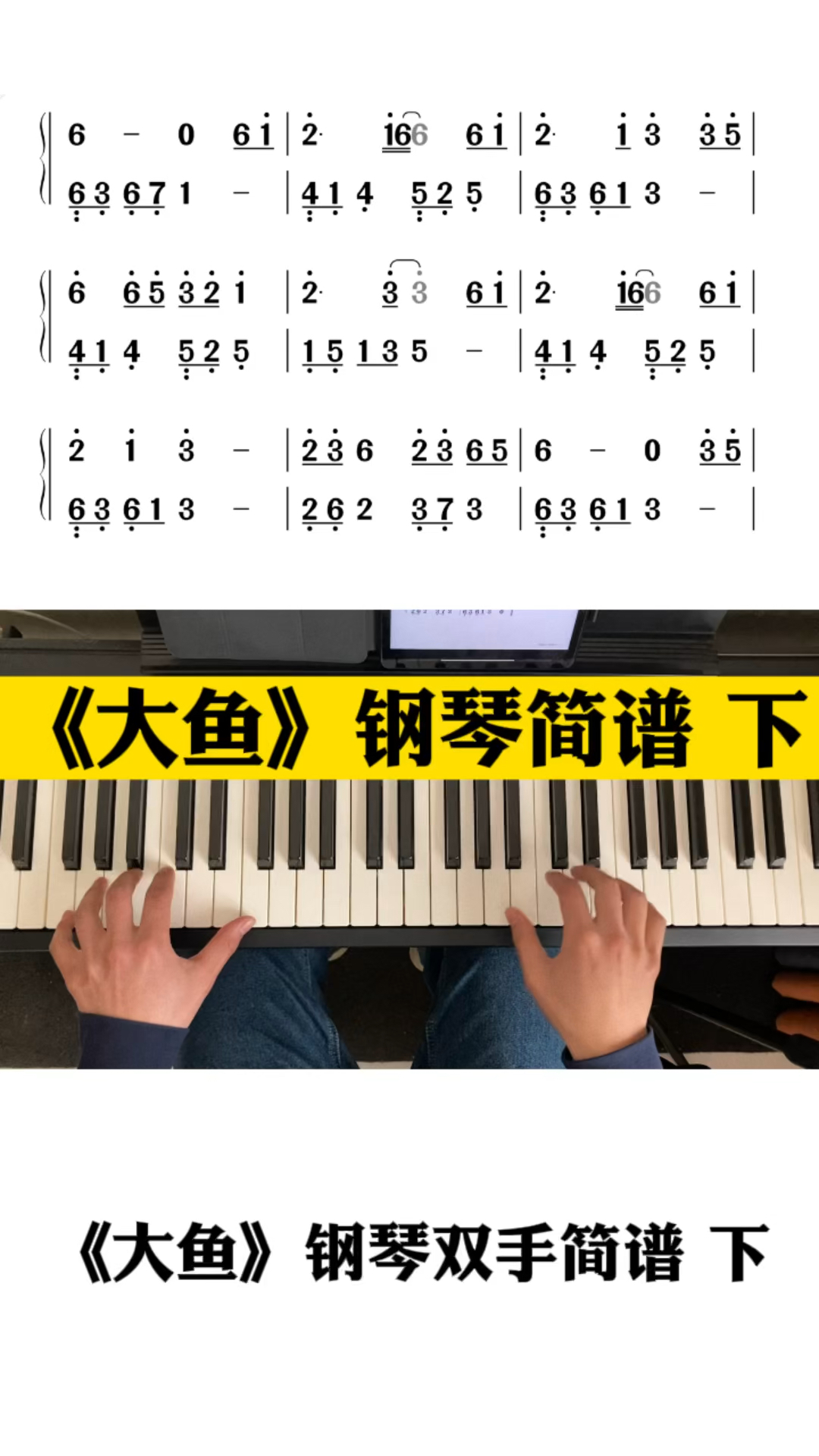 《大鱼》下部分简谱