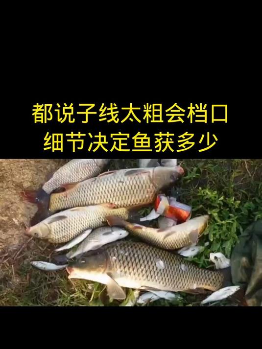 都说子线太粗会档口,细节决定鱼获多少