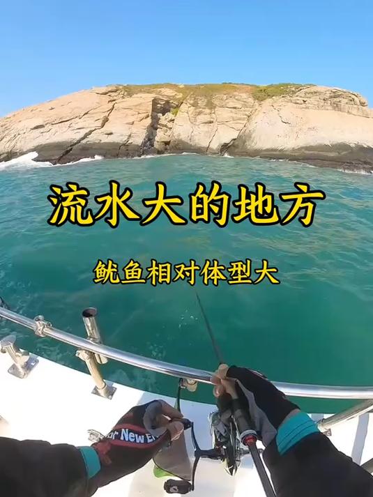 流水大的地方,鱿鱼体型略大