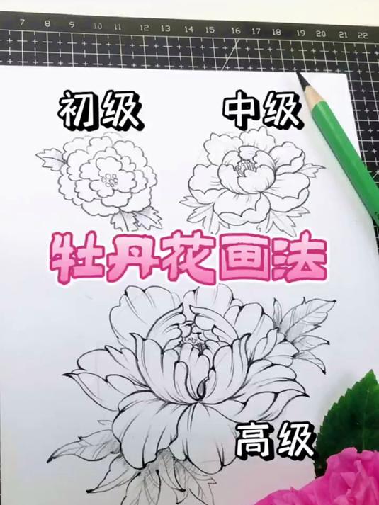 炒鸡简单好学的简笔画牡丹画法教程！学不会俺把笔吃了！