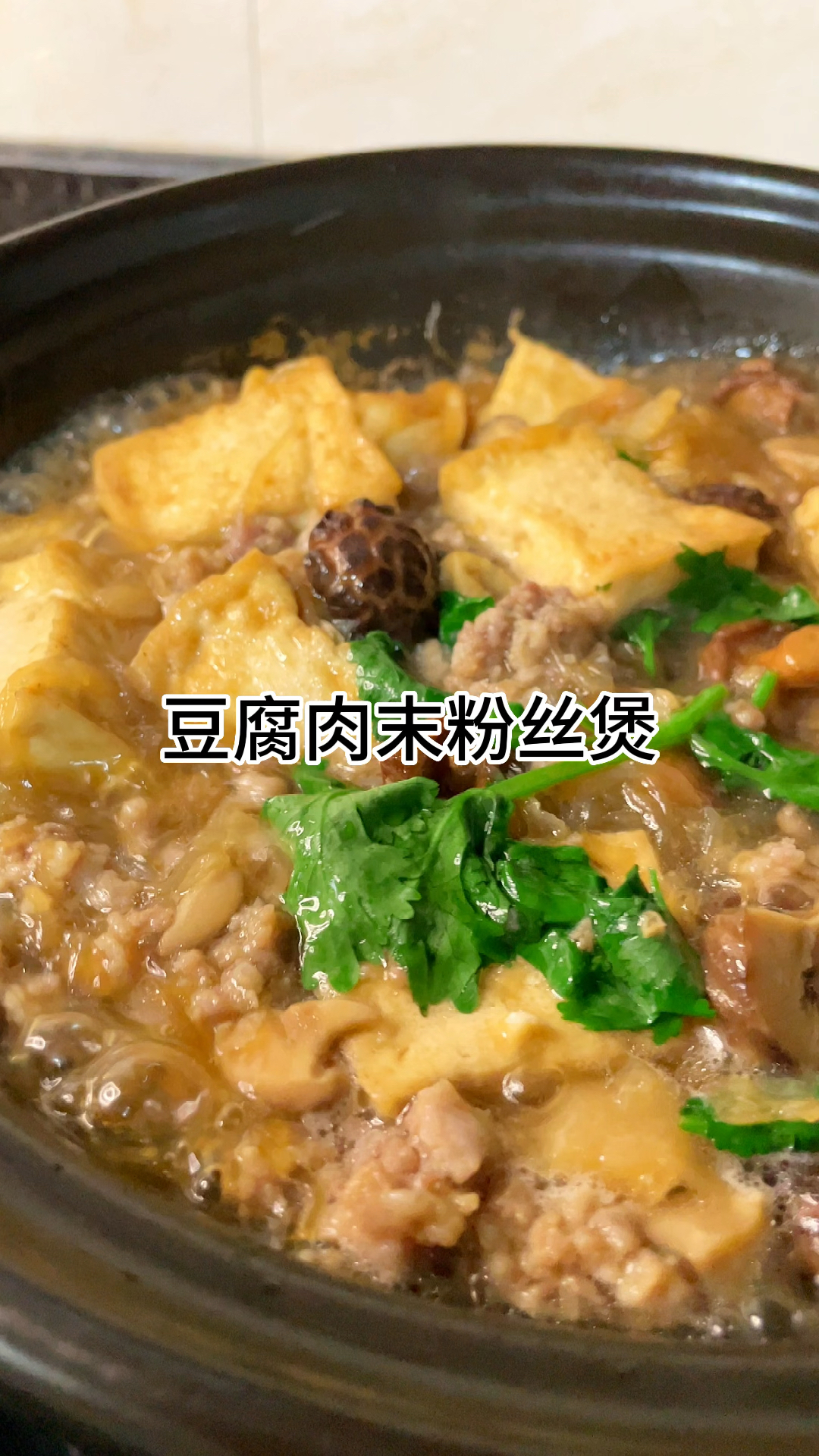 [当你有个爱做饭的老婆]豆腐肉未粉丝煲咸香入味又吃家常做法简单美味