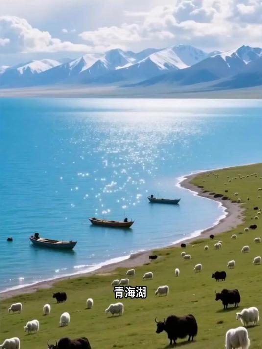 寻访青海湖的湟鱼洄游之谜