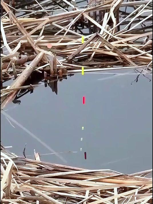 高清七星漂钓鱼漂像视频经典