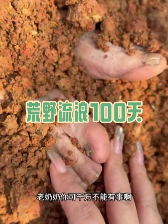 抓了只野鸡给老奶奶送去