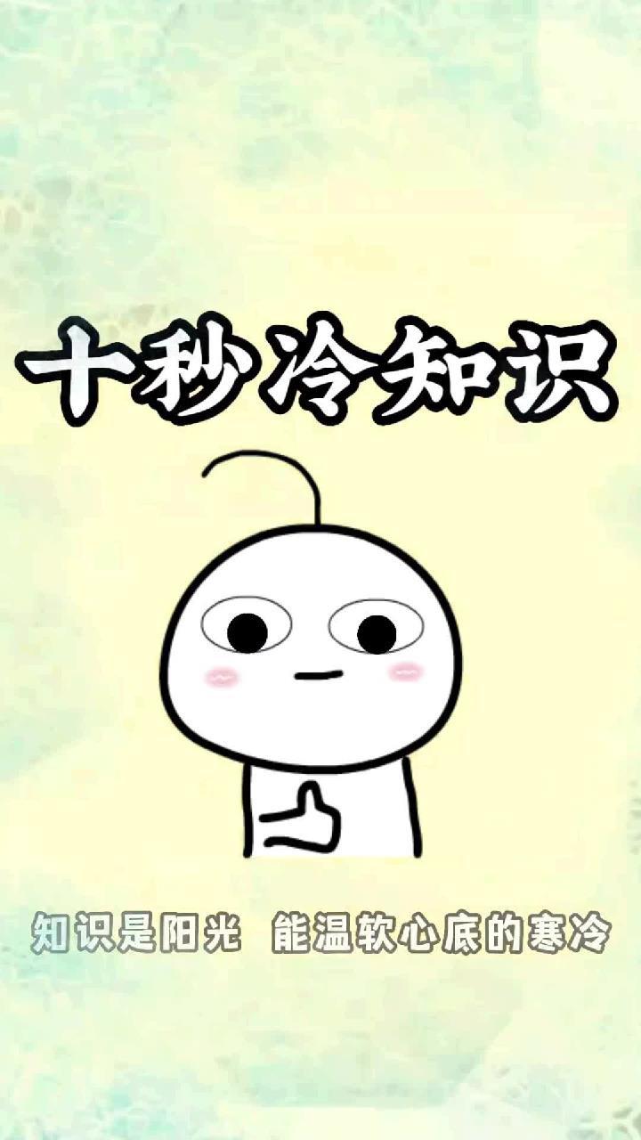 你不知道的冷知识:法式鹅肝的培养过程