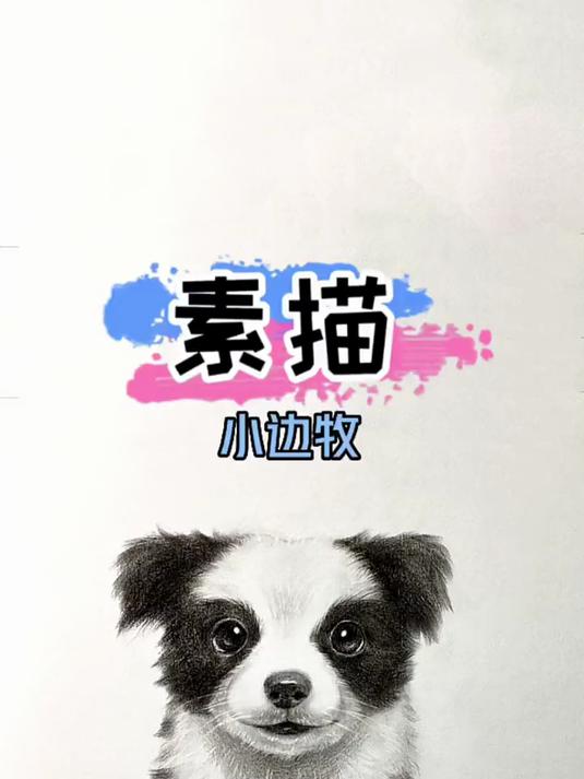 小狗狗素描画法 起形丑关我画完什么事呀!素描 零基础学画画
