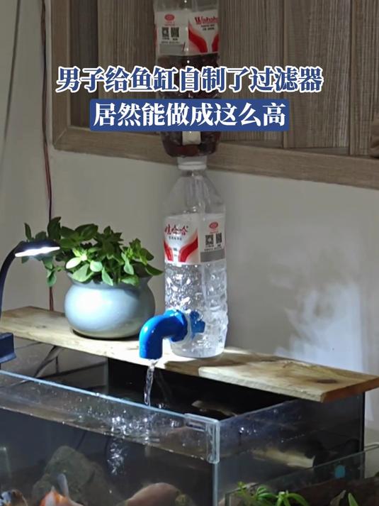 男子给鱼缸自制了过滤器,居然能做成这么高,网友:这是真正的“天花板”级别#鱼缸过滤#