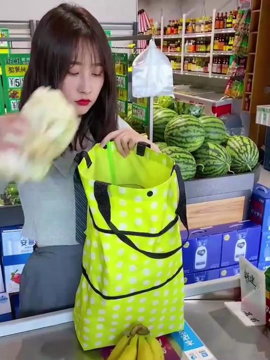 你见过自带轮子的手拉购物车吗?容量大,购物或买菜都很方便!