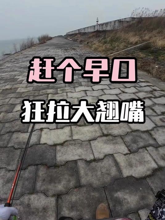 早口经济半小时，狂拉大翘嘴 路亚 路亚翘嘴