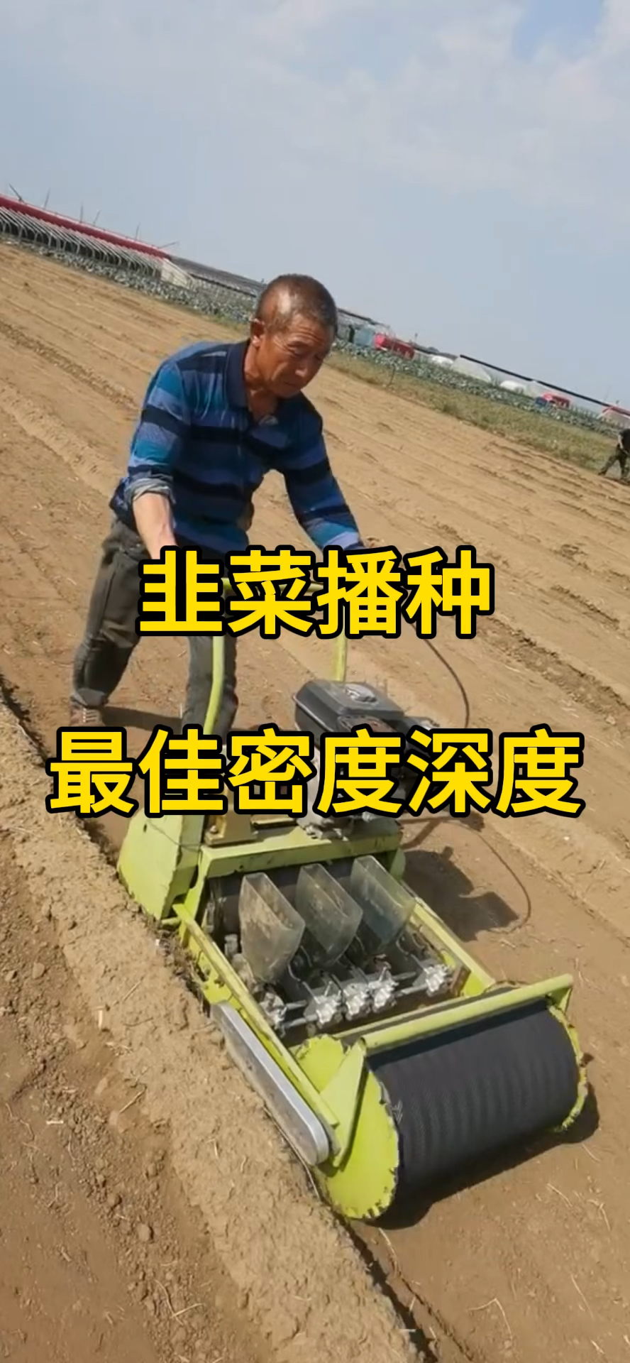 韭菜播种最佳密度和深度
