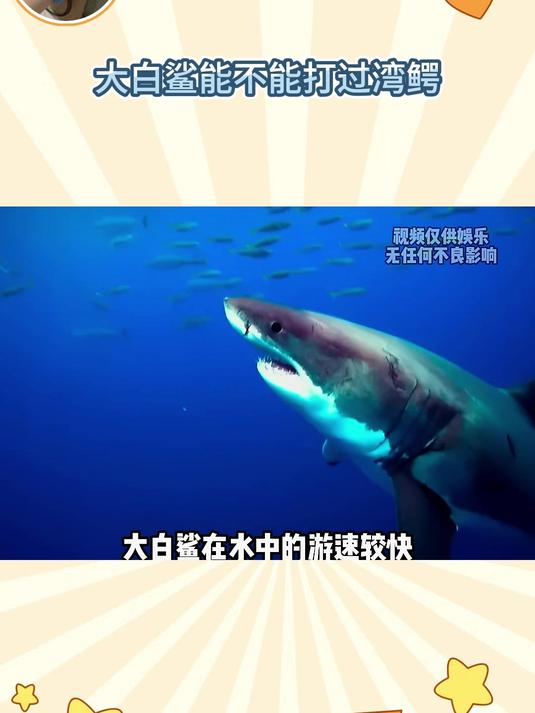 大白鲨能不能打过湾鳄