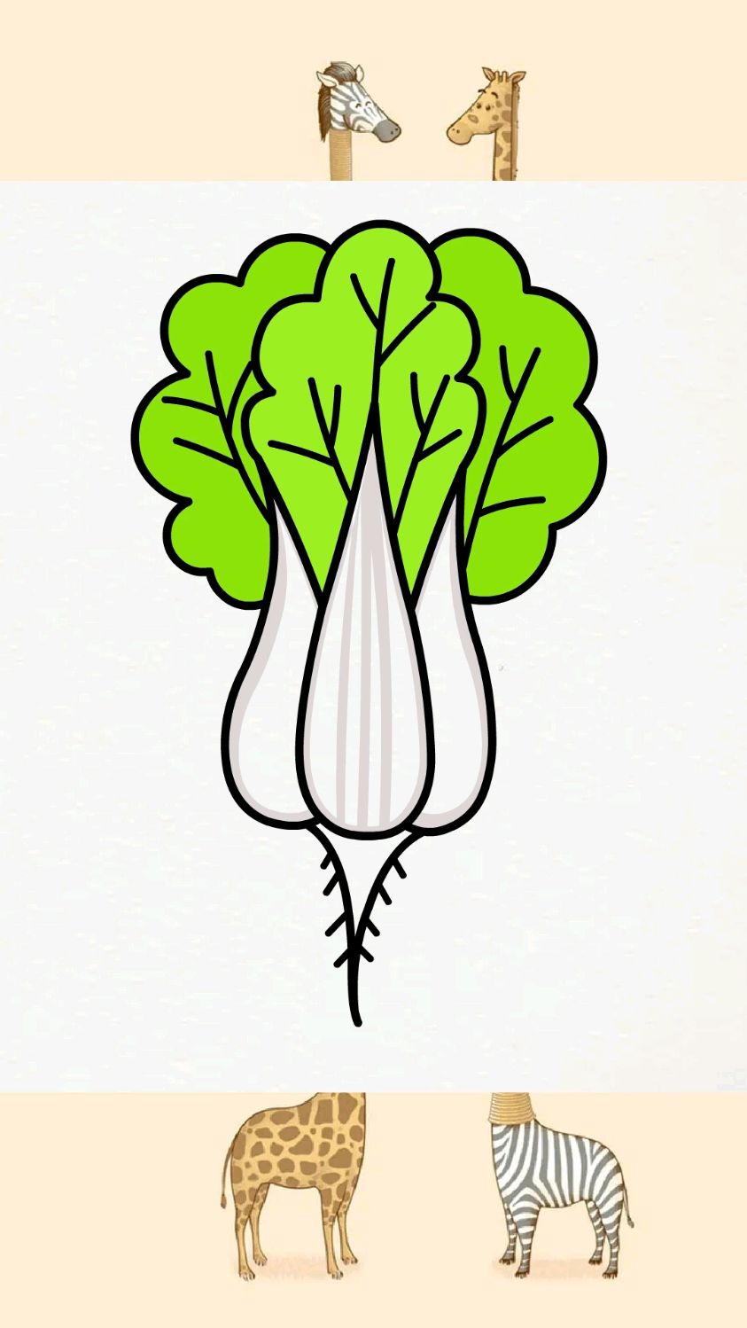 教你用字母W画大白菜简笔画,轻松拿捏