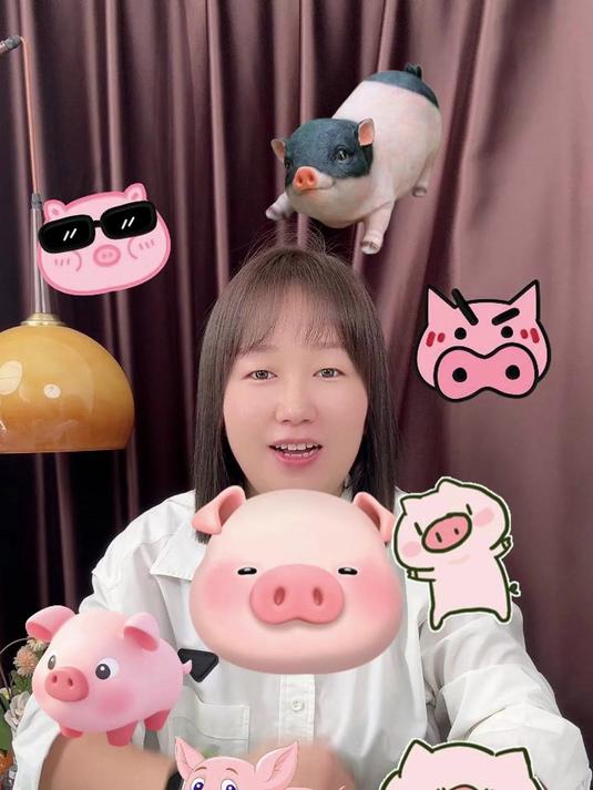 小猪表情包