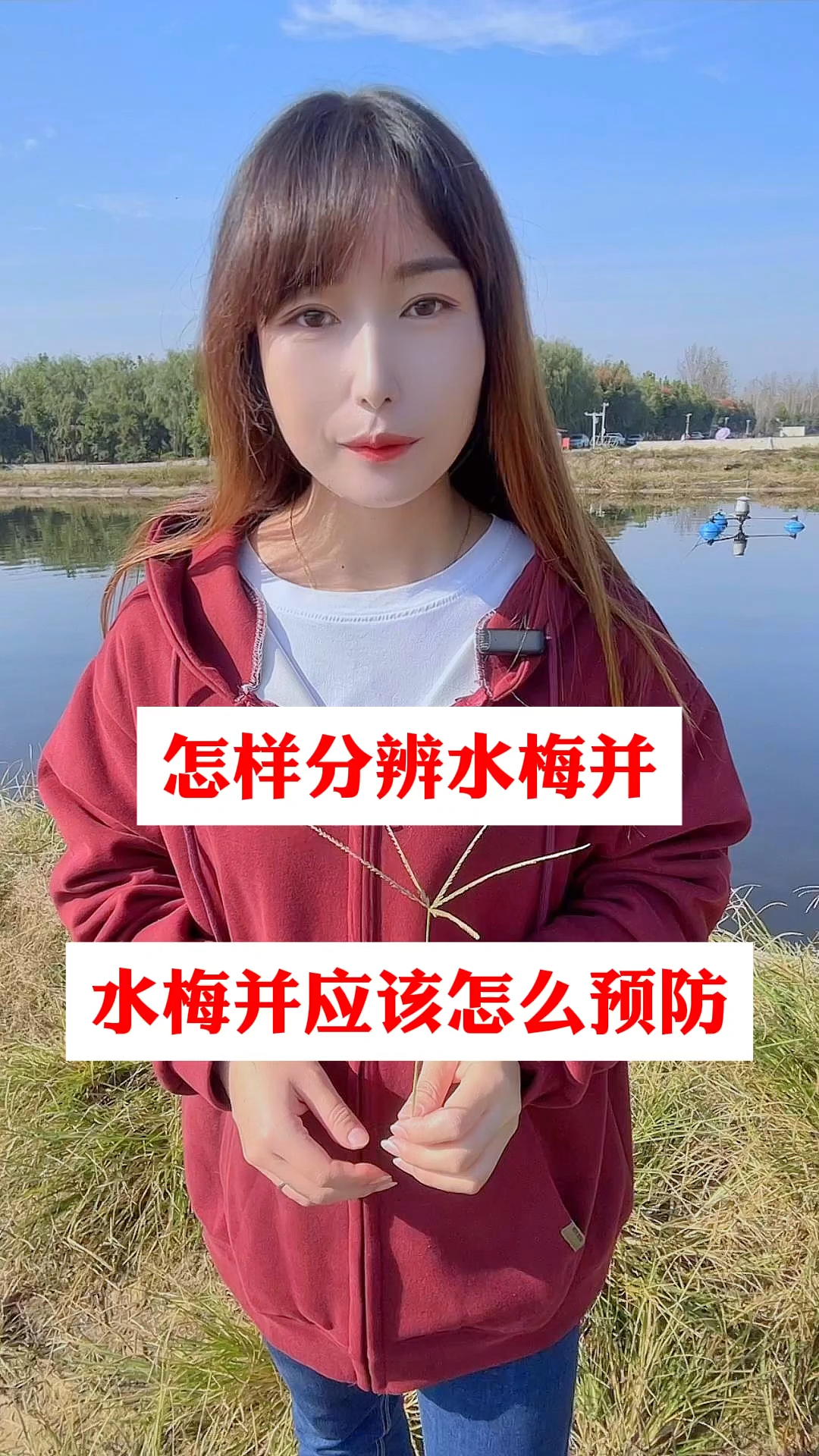 怎样分辨水霉病