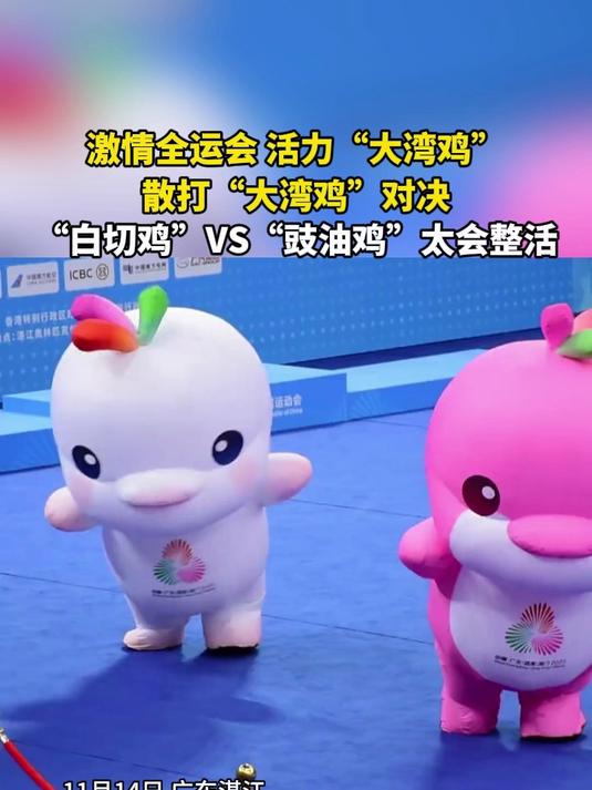 激情全运会,活力“大湾鸡”,散打“大湾鸡”对决,“白切鸡”VS“豉油鸡”太会整活