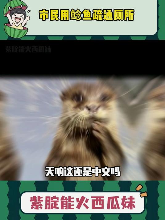 市民用鲶鱼疏通厕所