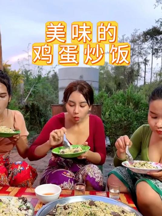 美味的越南鸡蛋炒饭
