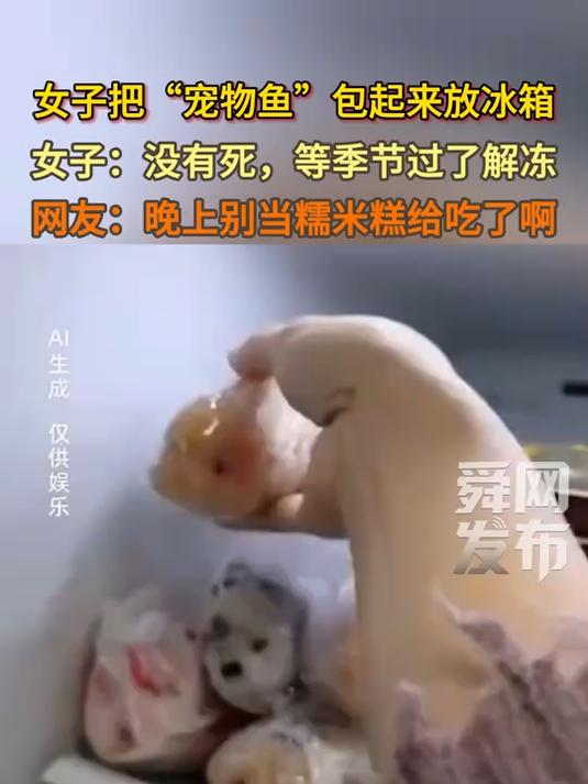 女子把“宠物鱼”包起来放冰箱,女子:没有死,等季节过了解冻,网友:晚上别当糯米糕给吃了啊