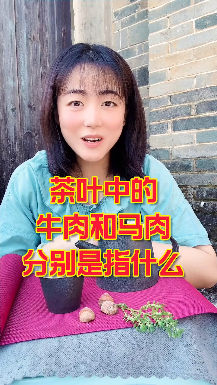 牛肉和马肉,哪个更美味?