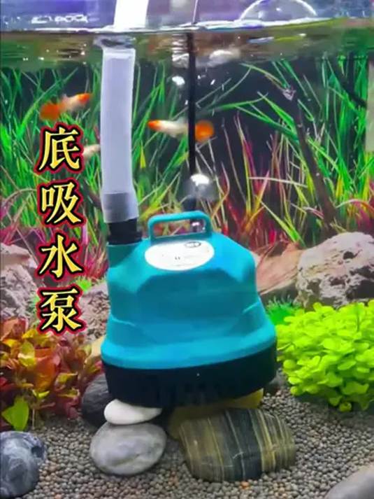 小巧鱼缸潜水泵 高流量还能吸鱼便 养鱼超实用