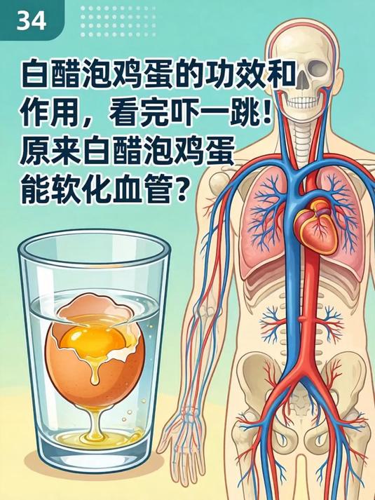 白醋泡鸡蛋的功效和作用,看完吓一跳!原来白醋泡鸡蛋能软化血管?