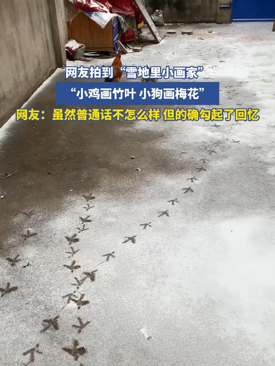 网友拍到“雪地里小画家”,“小鸡画竹叶,小狗画梅花”