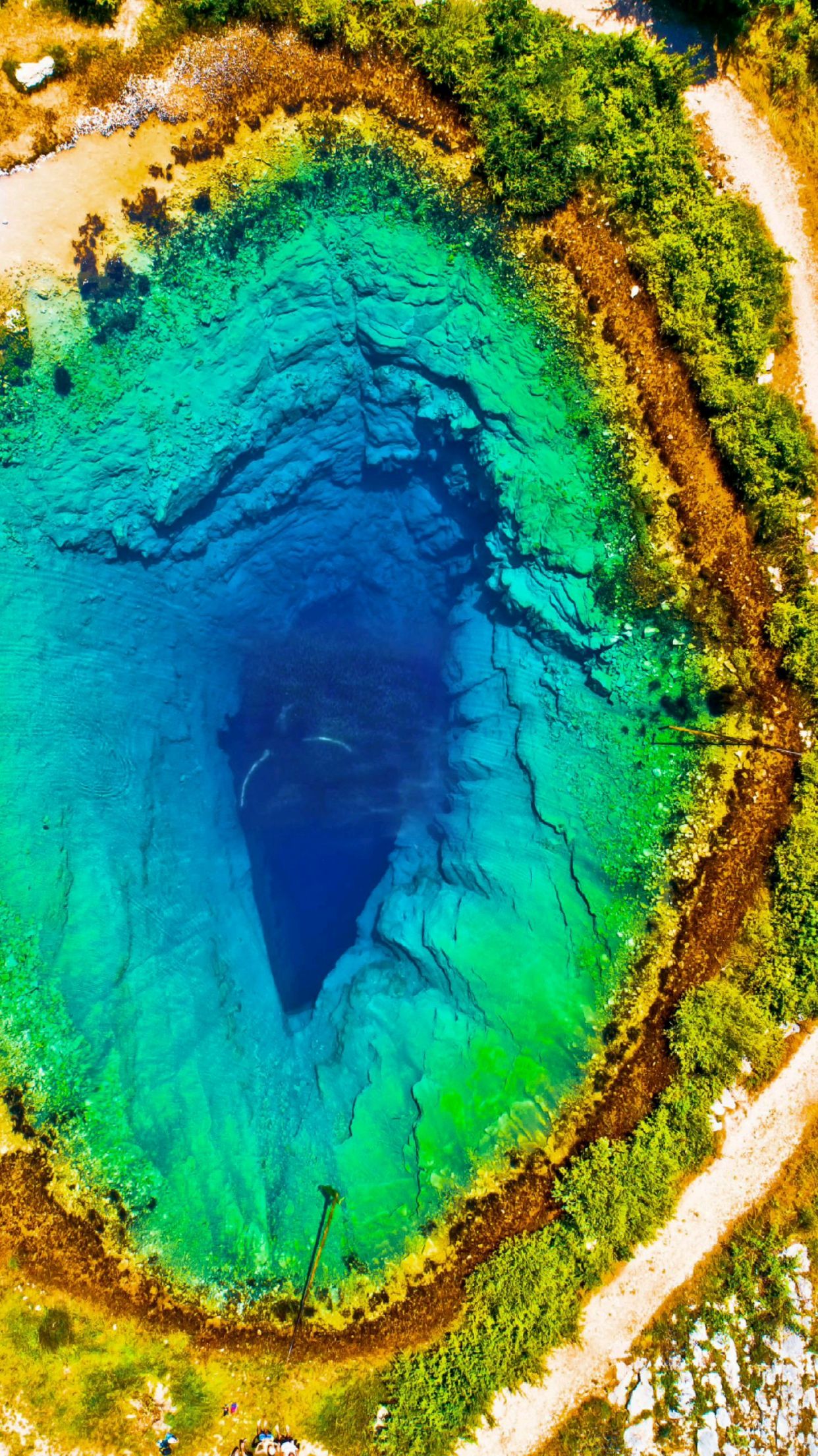 难得一见的鲸鱼出水画面,见者好运