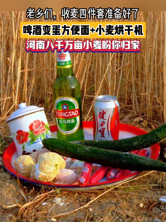 老乡们,收麦四件套准备好了!啤酒变蛋方便面+小麦烘干机