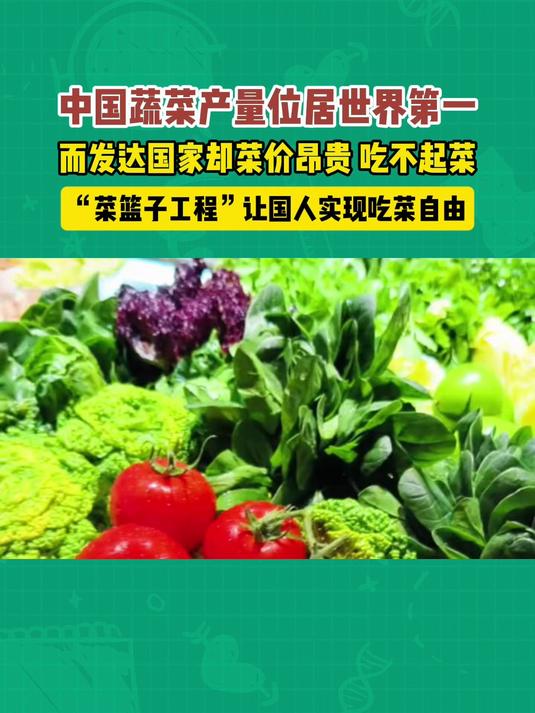 中国蔬菜产量位居世界第一，“菜篮子工程”让国人实现吃菜自由