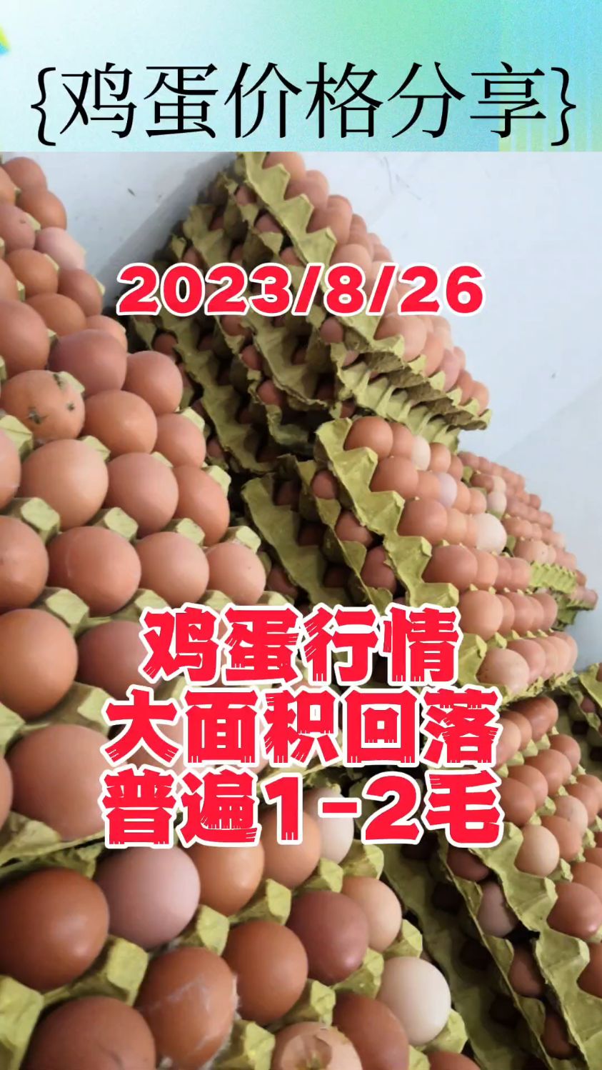 给大家汇报一下8月26号的鸡蛋价格,今日全国各大市场鸡蛋价格,大面积回落。