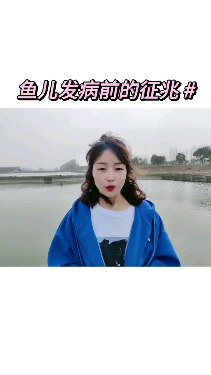 鱼儿发病前的几个征兆