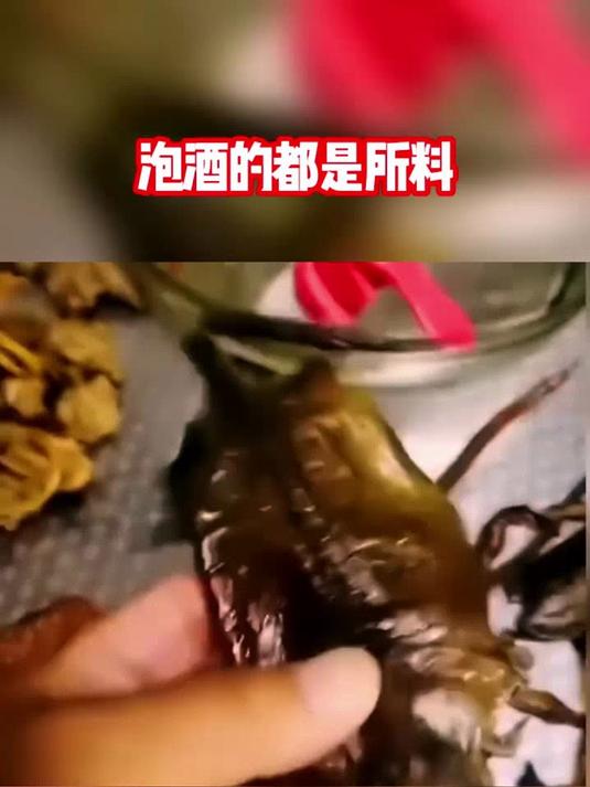 果蔬彩色卡通包子面皮氧化褐变_清新可爱的造型瞬间失去鲜亮质感