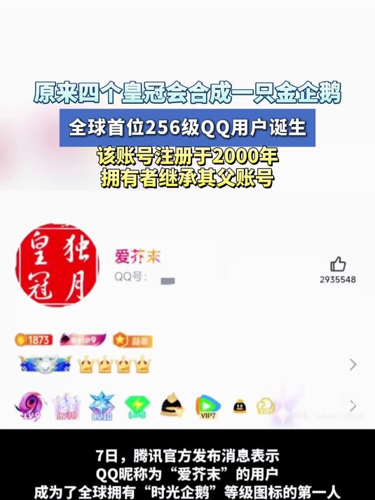 原来四个皇冠会合成一只金企鹅,全球首位256级QQ用户诞生