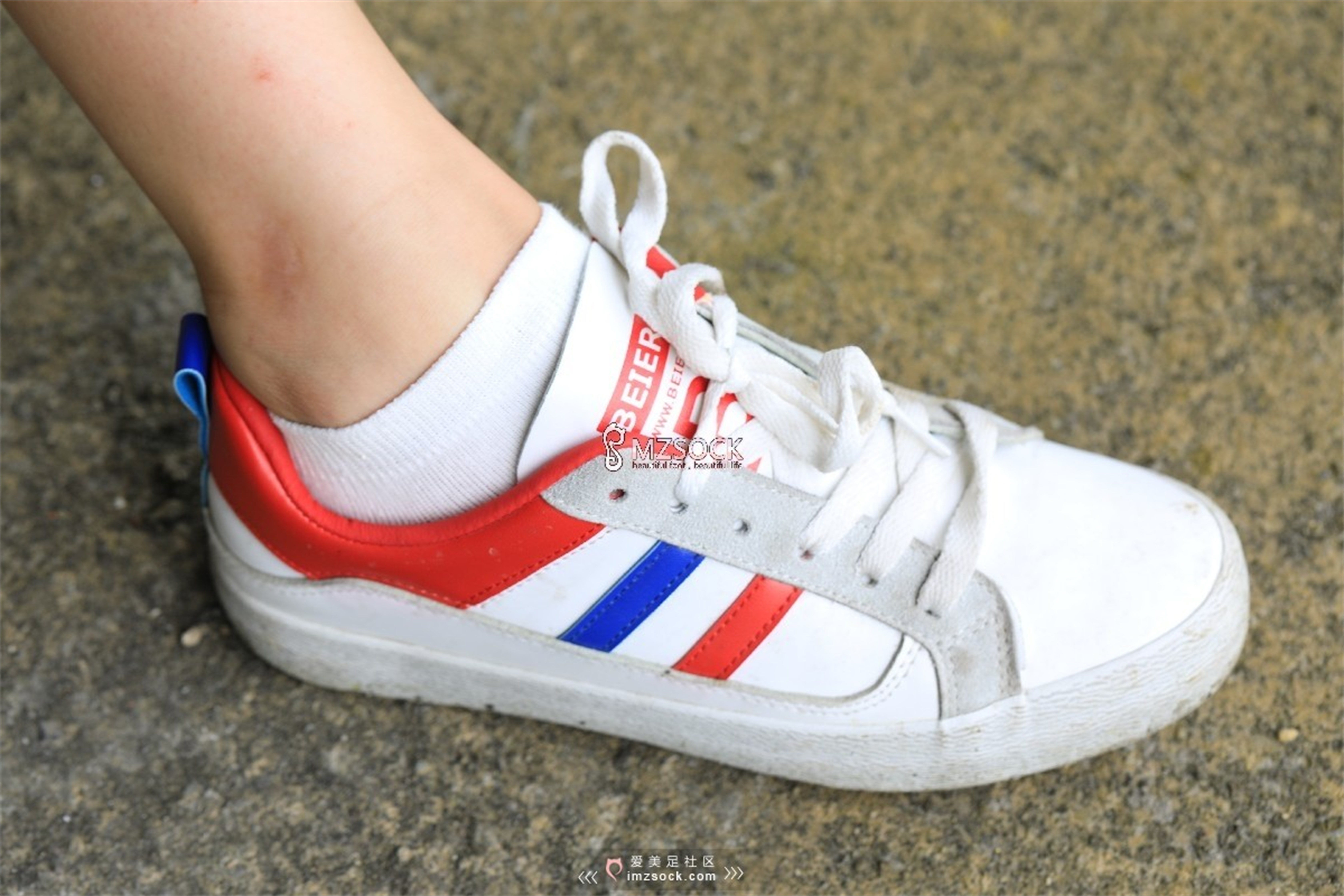 图片[55]-[MZSOCK]爱美足 NO.049 悦悦[122P403M]-六色网