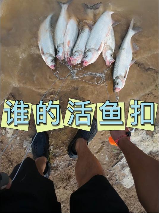 米翘活鱼扣，这是哪位大师掉的#路亚#