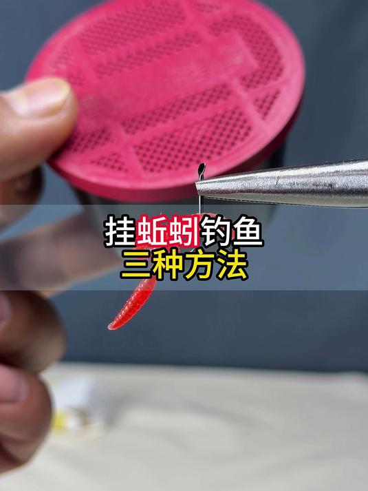 钓鱼人挂蚯蚓的三种技巧