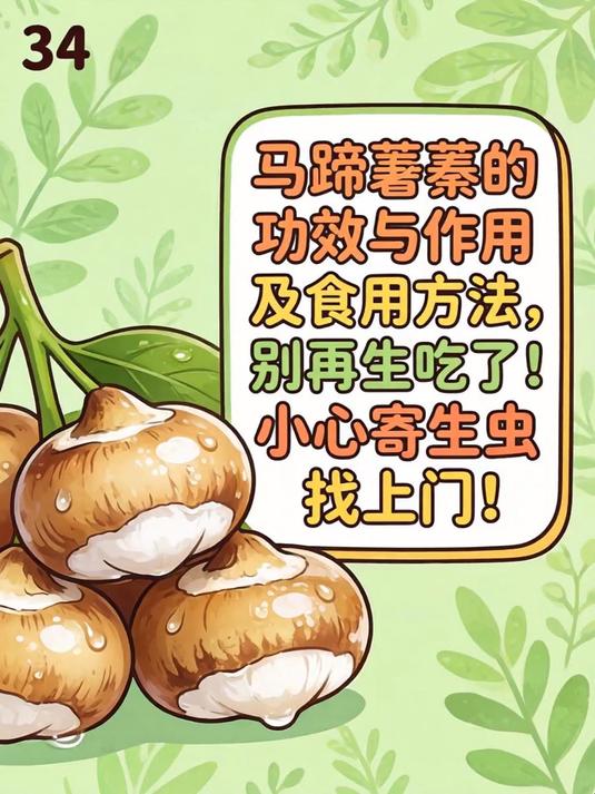 马蹄荸荠的功效与作用及食用方法,别再生吃了!小心寄生虫找上门!