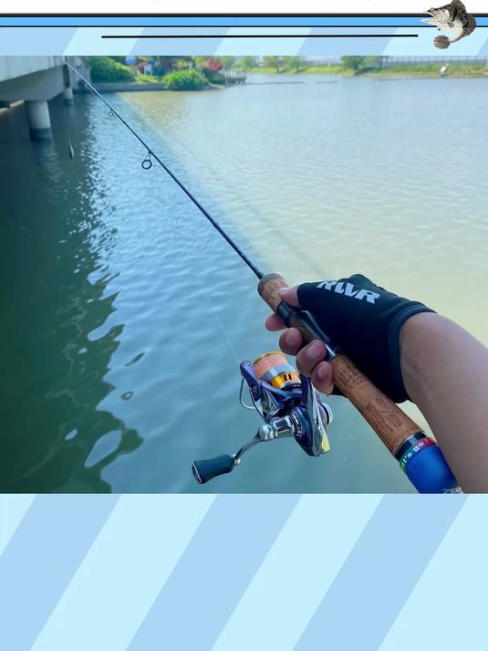 路亚有五派,你是哪一派?