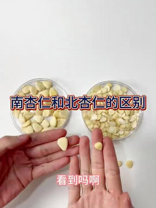 都知道杏仁是七白之一,那你知道怎么分辨南杏仁喝北杏仁区别吗