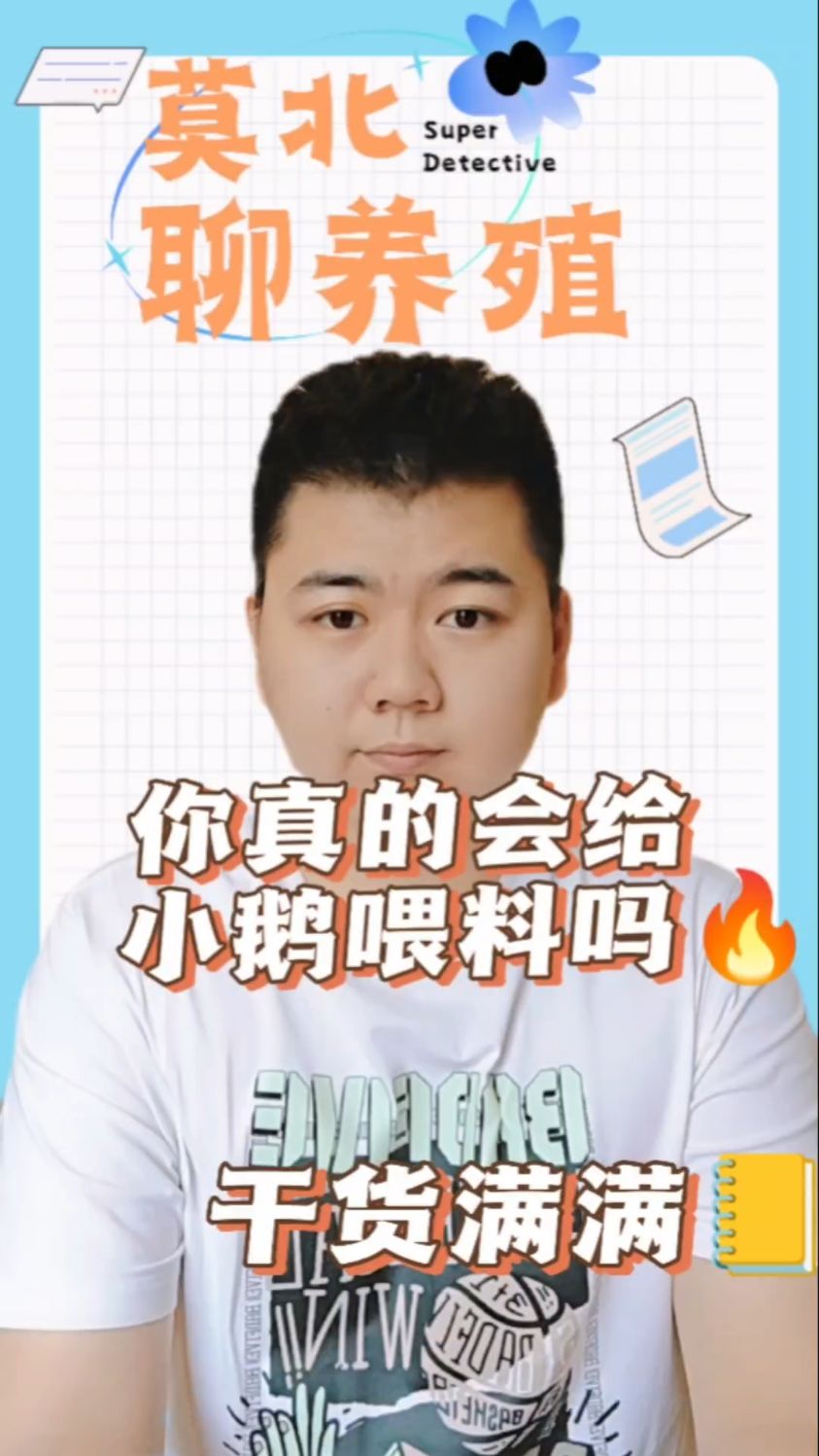 #小鹅的养殖方法和技术小鹅吃什么长的快又好养小鹅要怎么养小鹅要怎么养骨架才长