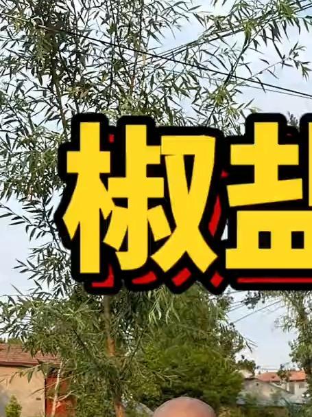 椒盐羊肉~大口吃肉的感觉太好了,有想吃的来我做给你吃