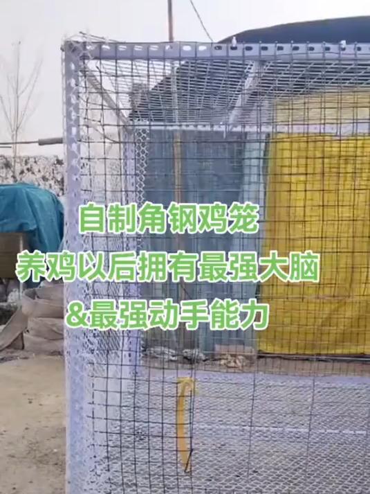 师傅自制的角钢鸡笼,低成本建造鸡笼,师傅的动手能力相当厉害